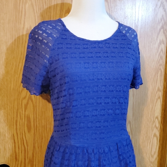 Free People lace mini dress cobalt blue cotton blend size 8 - Picture 4 of 10